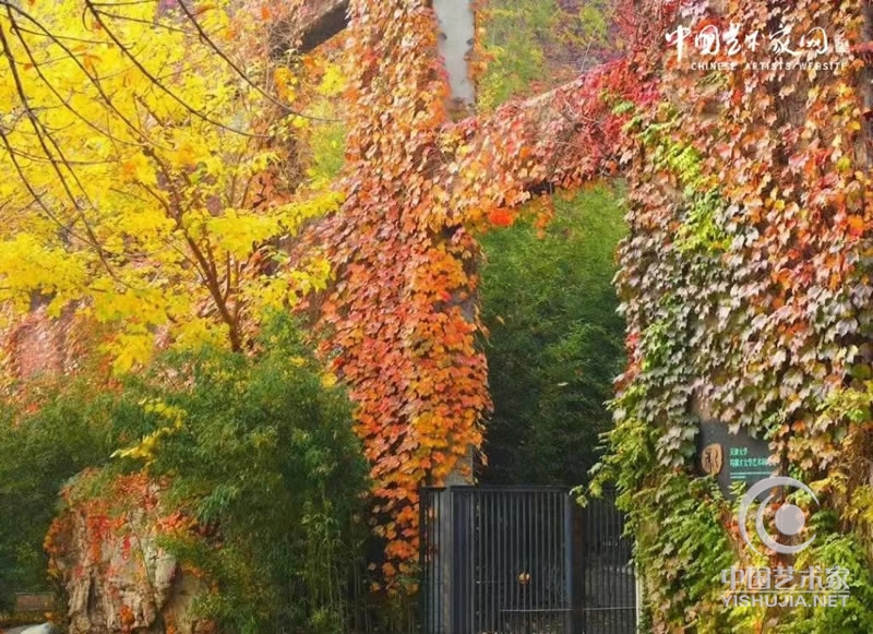 天津大学冯骥才文学艺术研究院举办红叶季活动